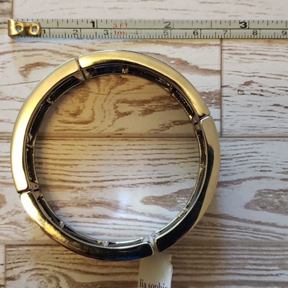 Lia Sophia Turquoise and Silver Bangle Bracelet - Picture 5 of 5